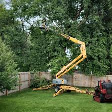 Best Tree Trimming and Pruning  in Dawson Springs, KY